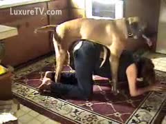 Mature whore in crotchless jeans being taken from behind by her dog 